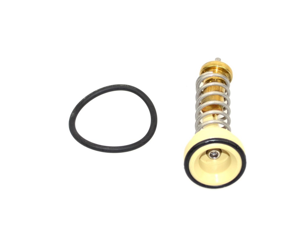 Termostat VW CC , PASSAT B7 , TOURAN - 1.4 TSI