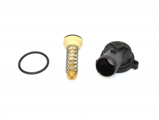 Termostat VW GOLF PLUS , GOLF V , POLO - 1.4 FSI