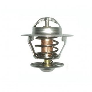 Termostat SEAT - VW DERBY GOLF JETTA POLO VENTO